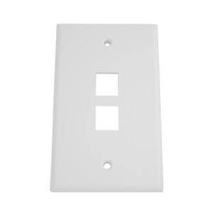 Plastic Wall Plate with Two Holes RJ45