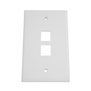 Plastic Wall Plate with Two Holes RJ45 - Click Image to Close