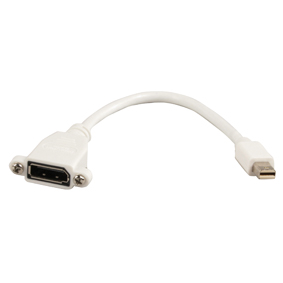 DisplayPort to Mini DisplayPort Adapter